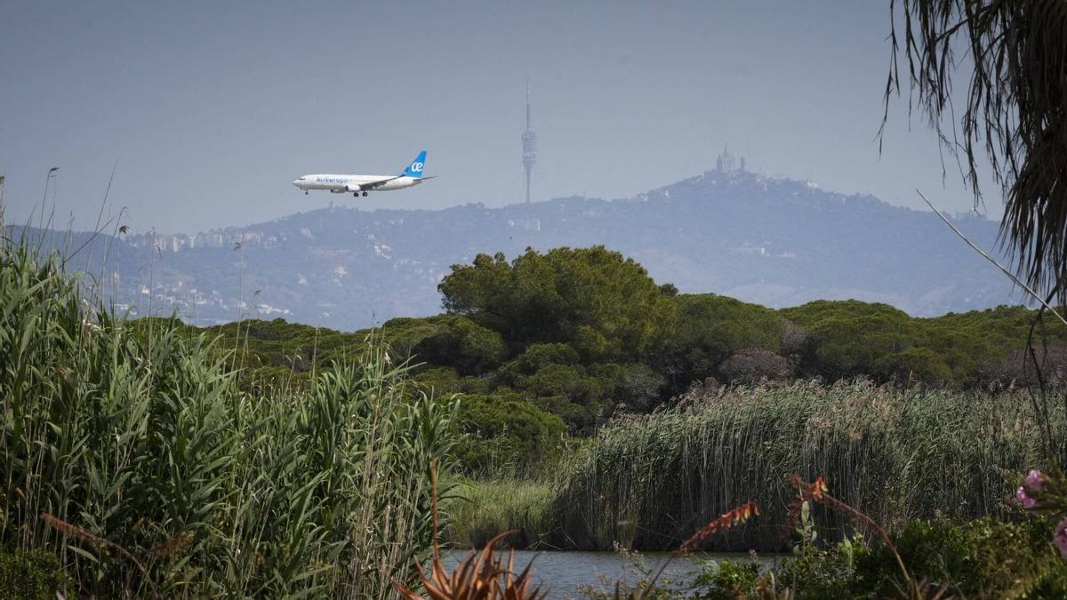 Un avión sobrevuela la laguna de la Ricarda antes de tomar tierra.