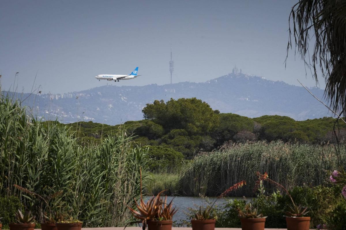 L'ampliació de l'aeroport de Barcelona-El Prat podria reduir gairebé 90 metres l'afectació de La Ricarda