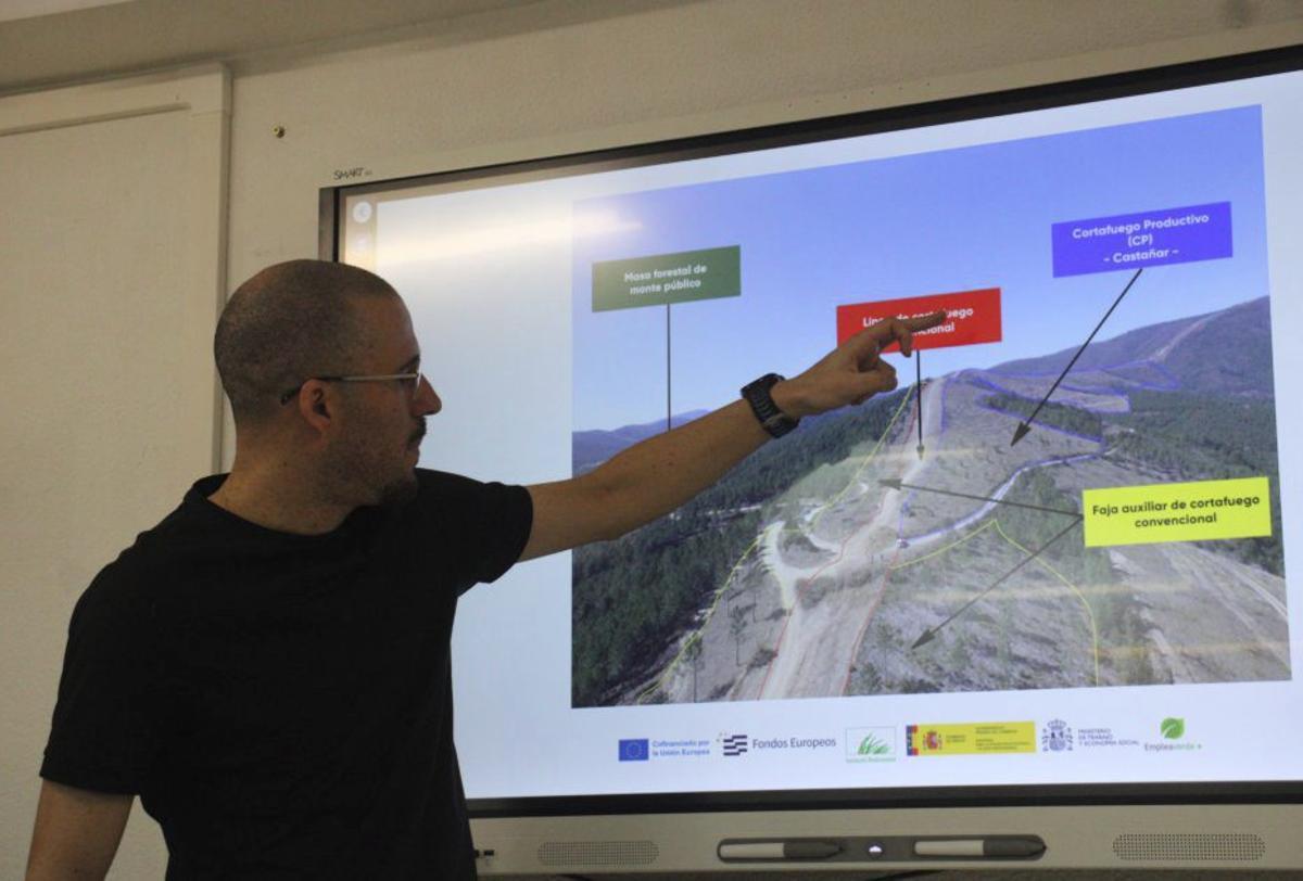 Paisaje mosaico y participación ciudadana, recetas contra los incendios