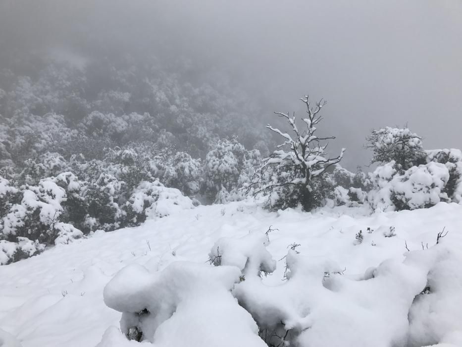 Vuelve a nevar en las montañas alicantinas