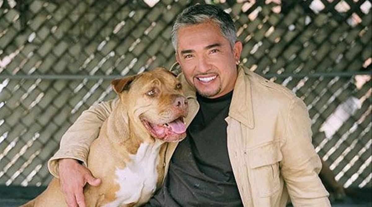 mdeluna26228679 cesar millan cesar al rescate160311182739 mdeluna26228679 cesar millan cesar al rescate160311182739
