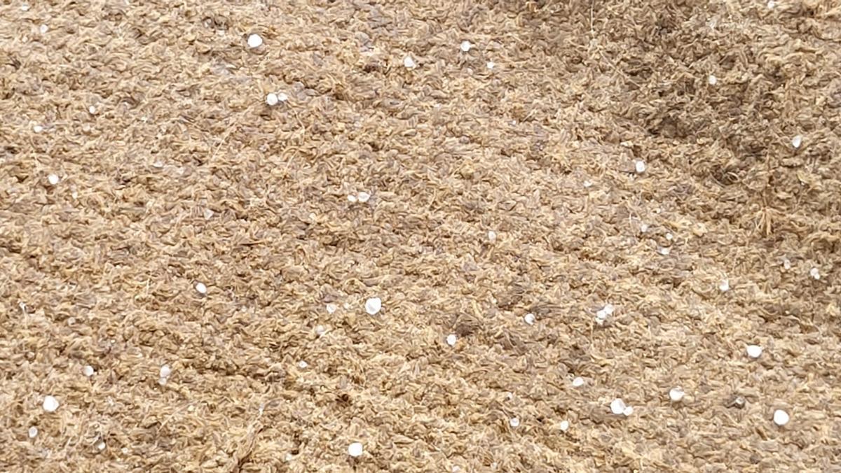 Granizo en Cala de Bou.