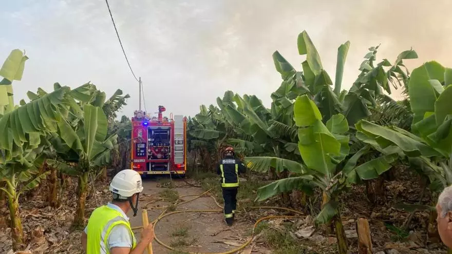 Incendio en una finca de plataneras en la zona de las obras de Chira-Soria