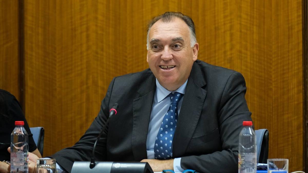 El consejero de Turismo, Arturo Bernal, durante la comisión parlamentaria.