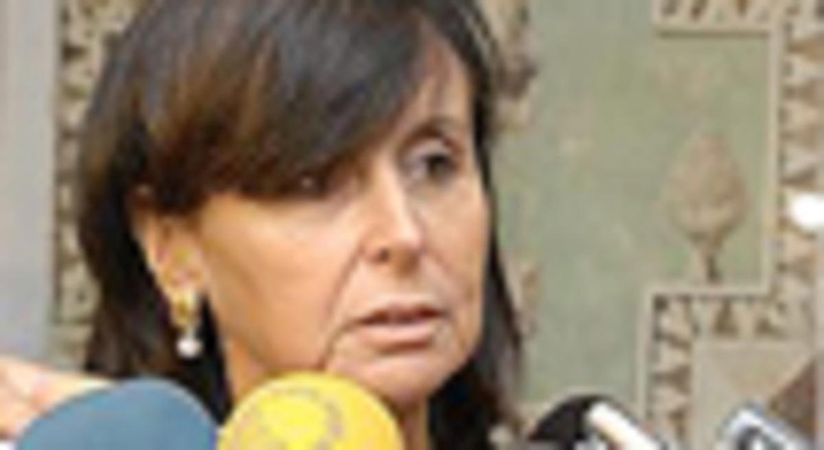 El Constitucional rechaza el recurso del PP contra la ley orgánica del ...