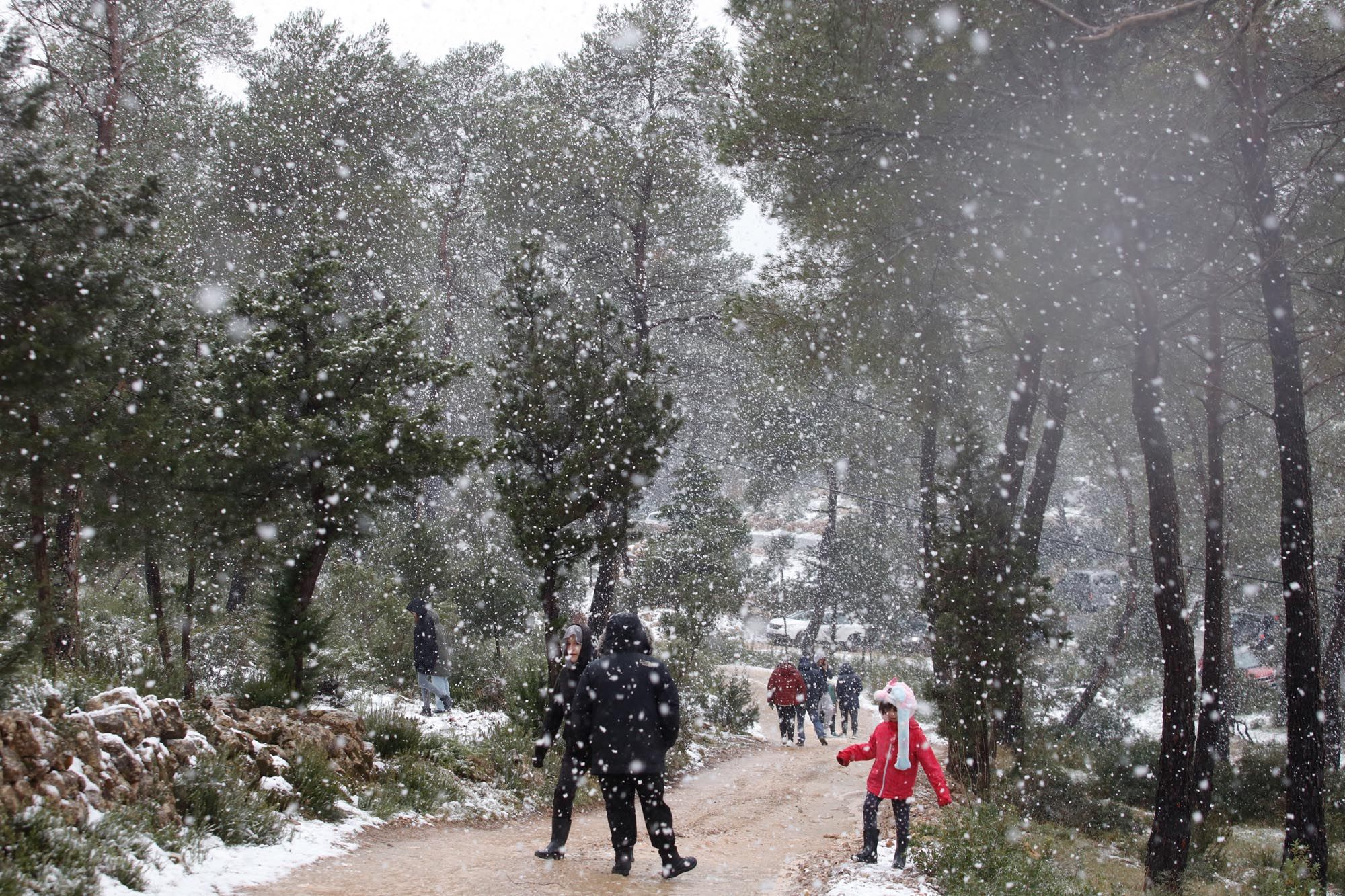 Galería de imágenes de la nieve por la borrasca Juliette en Ibiza