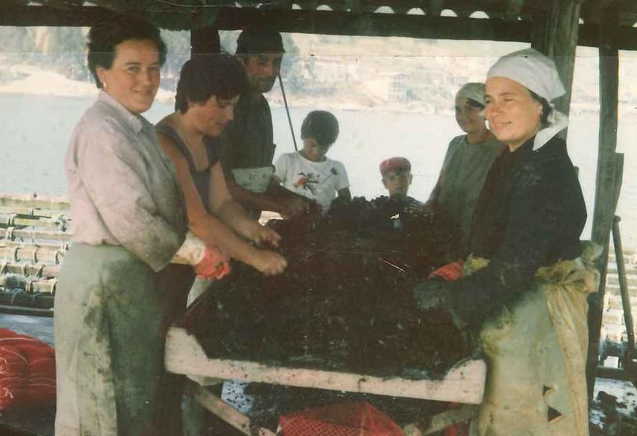 Las mujeres siempre estuvieron vinculadas al sector mitilicultor.