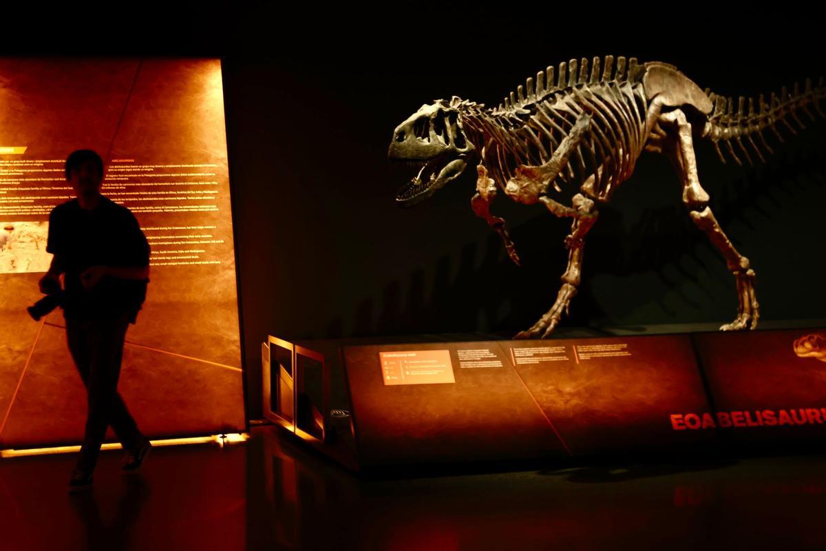 "Dinosaurios de la Patagonia"