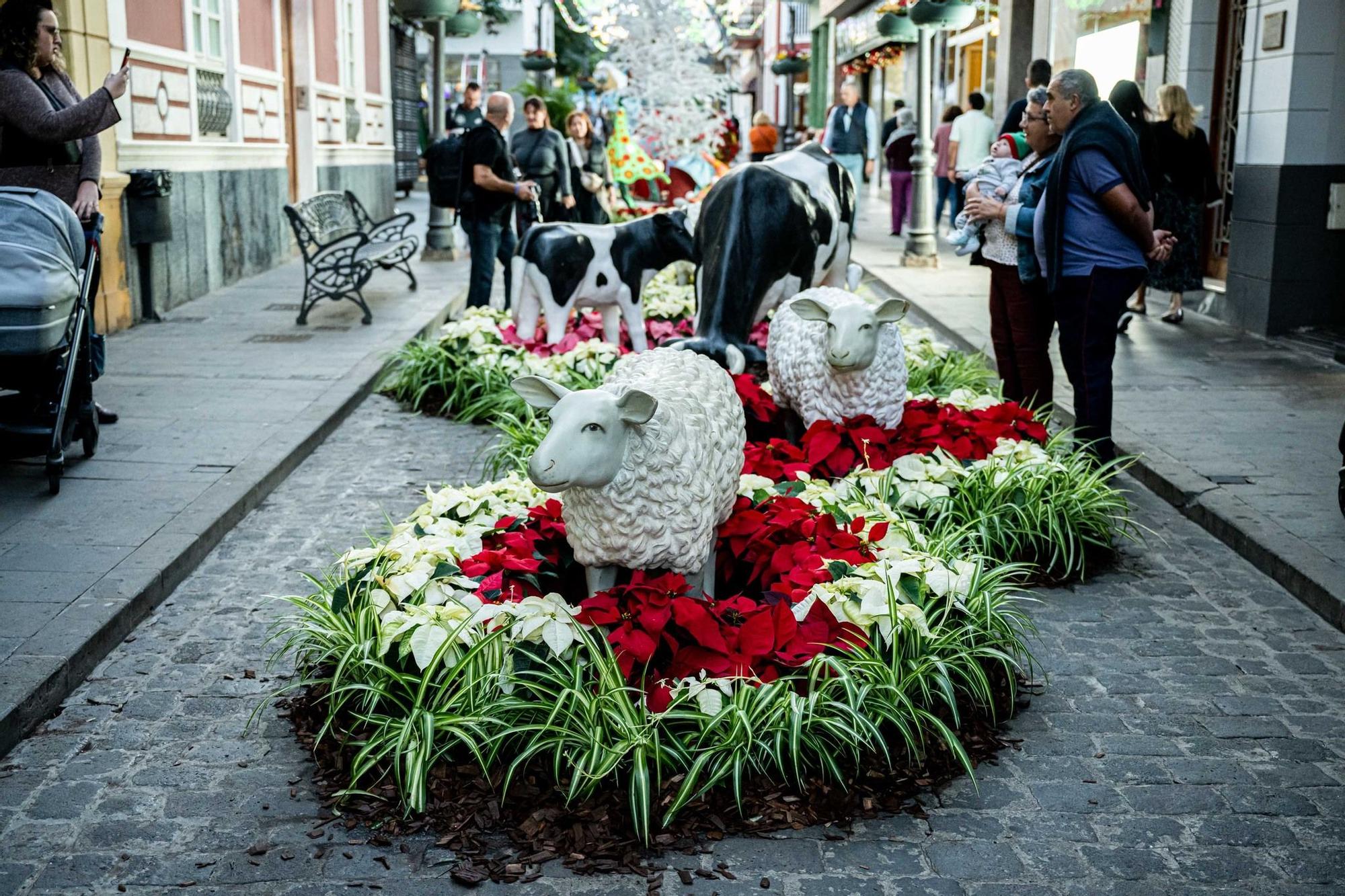 Semana de las Flores de Gáldar