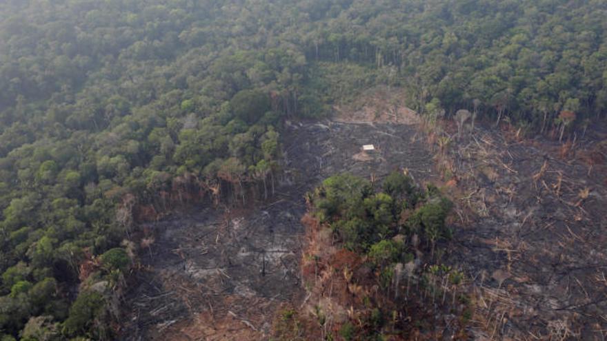 Vista aérea de una zona de la Amazonia afectada por los incendios en Humaita, Brasil.