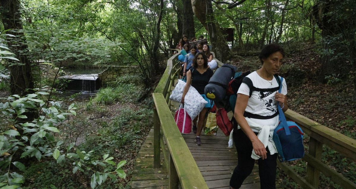 Las &quot;joyas&quot; del Botánico a ras de esterilla y la luz de la luna