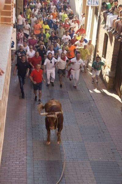 La carrera del Toro Enmaromado 2017 Razonador