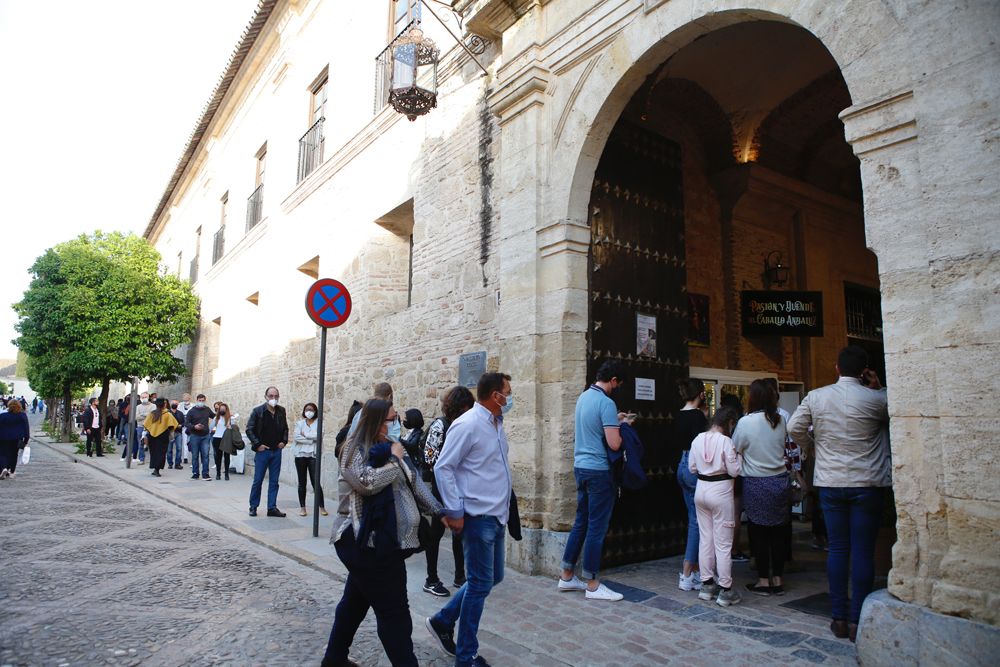 Vuelve a Caballerizas el espectáculo de Córdoba Ecuestre