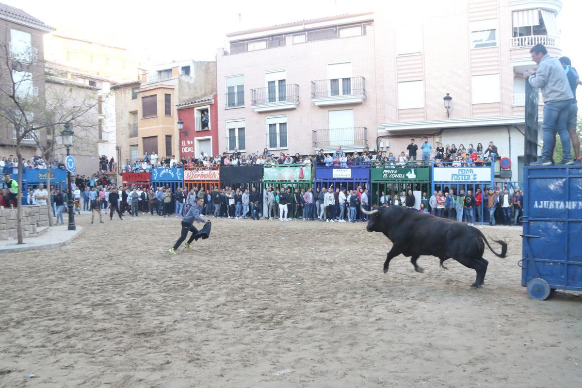 Los aficionados se vuelcan cada año en la Pascua Taurina de l'Alcora.