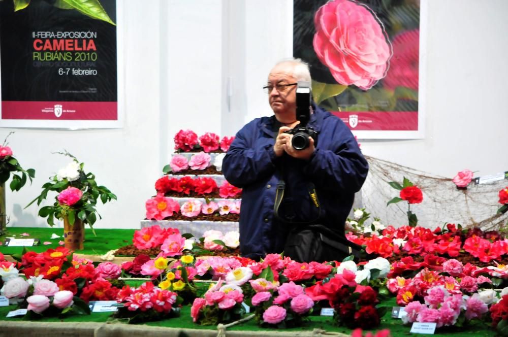 Exposición de la Camelia