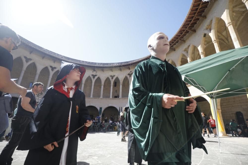 Locura por Harry Potter en Palma