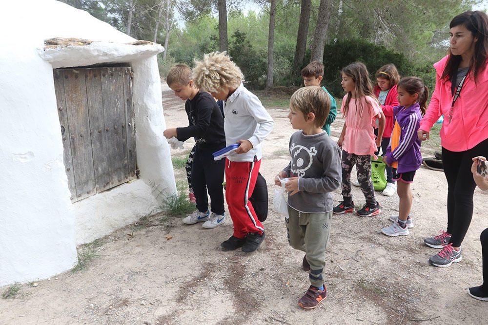 Trencada en Santa Gertrudis.