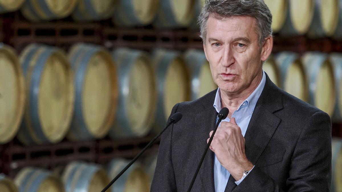 El líder del PP, Alberto Núñez Feijóo.