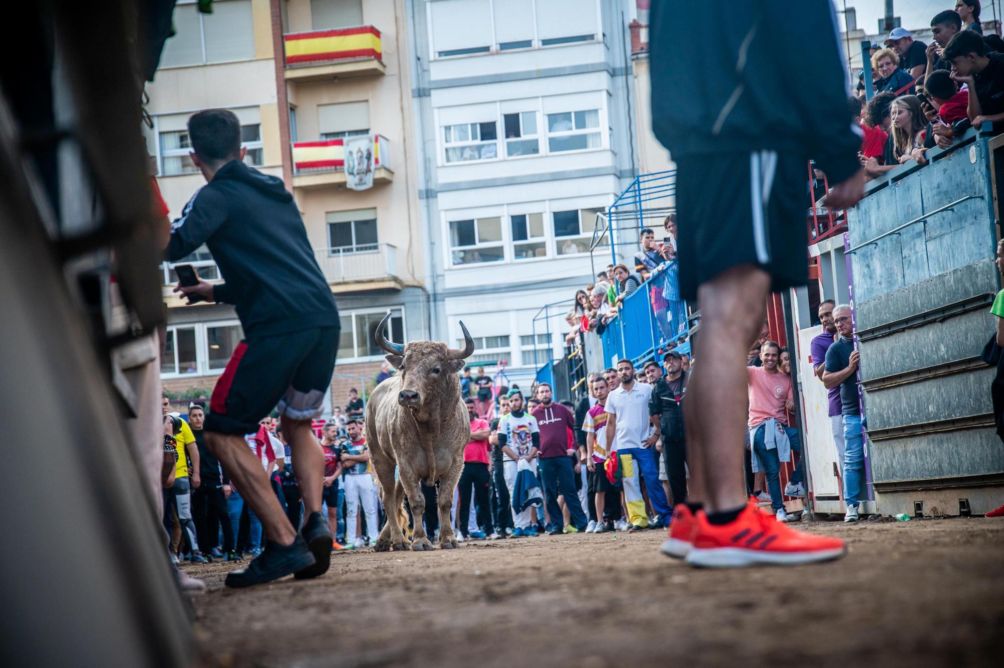 Galería de fotos de la última tarde de toros de la Fira en Onda