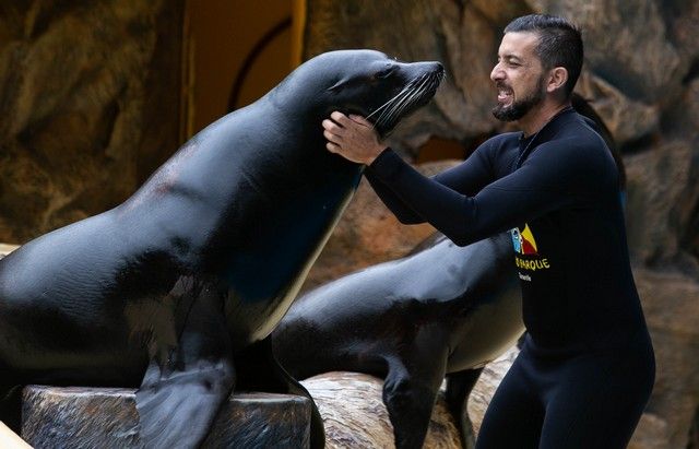 El Loro Parque reabre sus puertas al público después de 13 meses y medio de cierre por el Covid-19