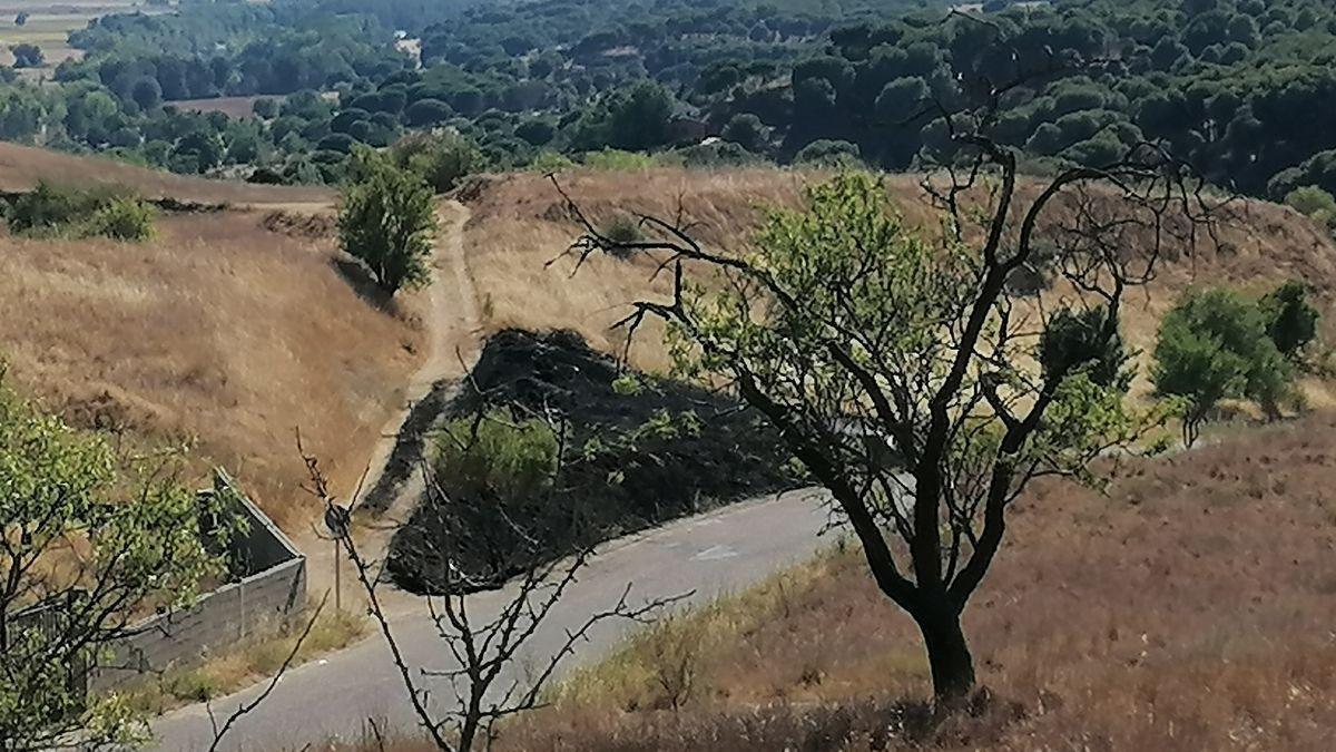 Terreno calcinado junto a la carretera que conecta Toro con el puente de hierro.