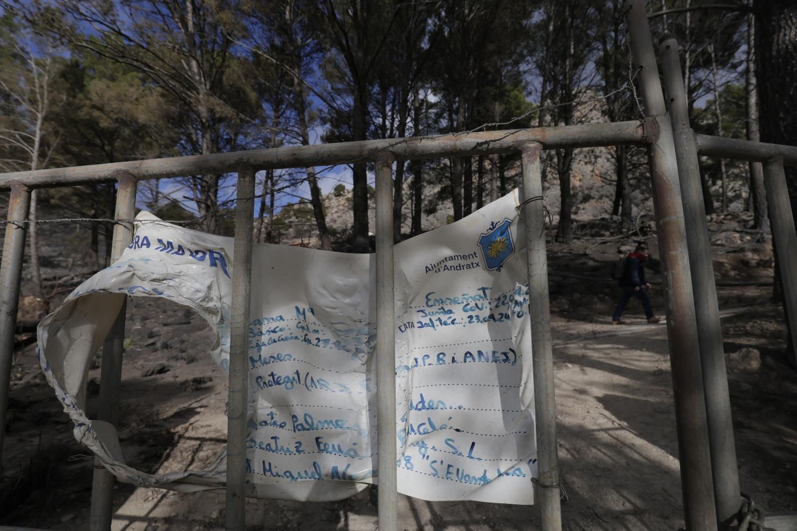 FOTOS | Dan por controlado el incendio de Andratx