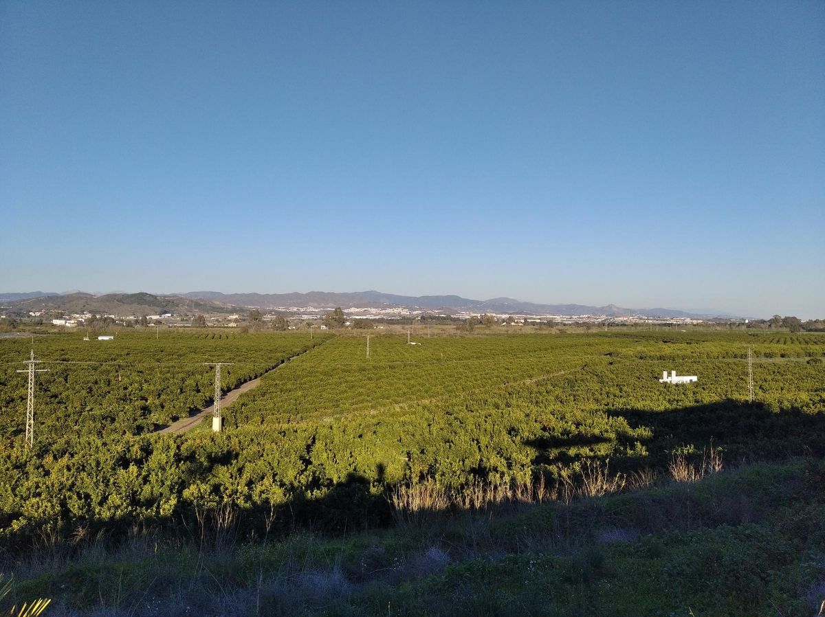Vega de Mestanza, en Málaga capital.