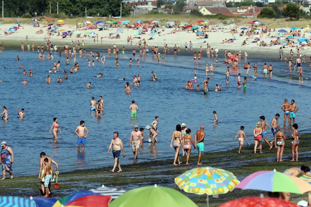 Los arenales de la ciudad olívica rebosaron actividad durante toda la jornada