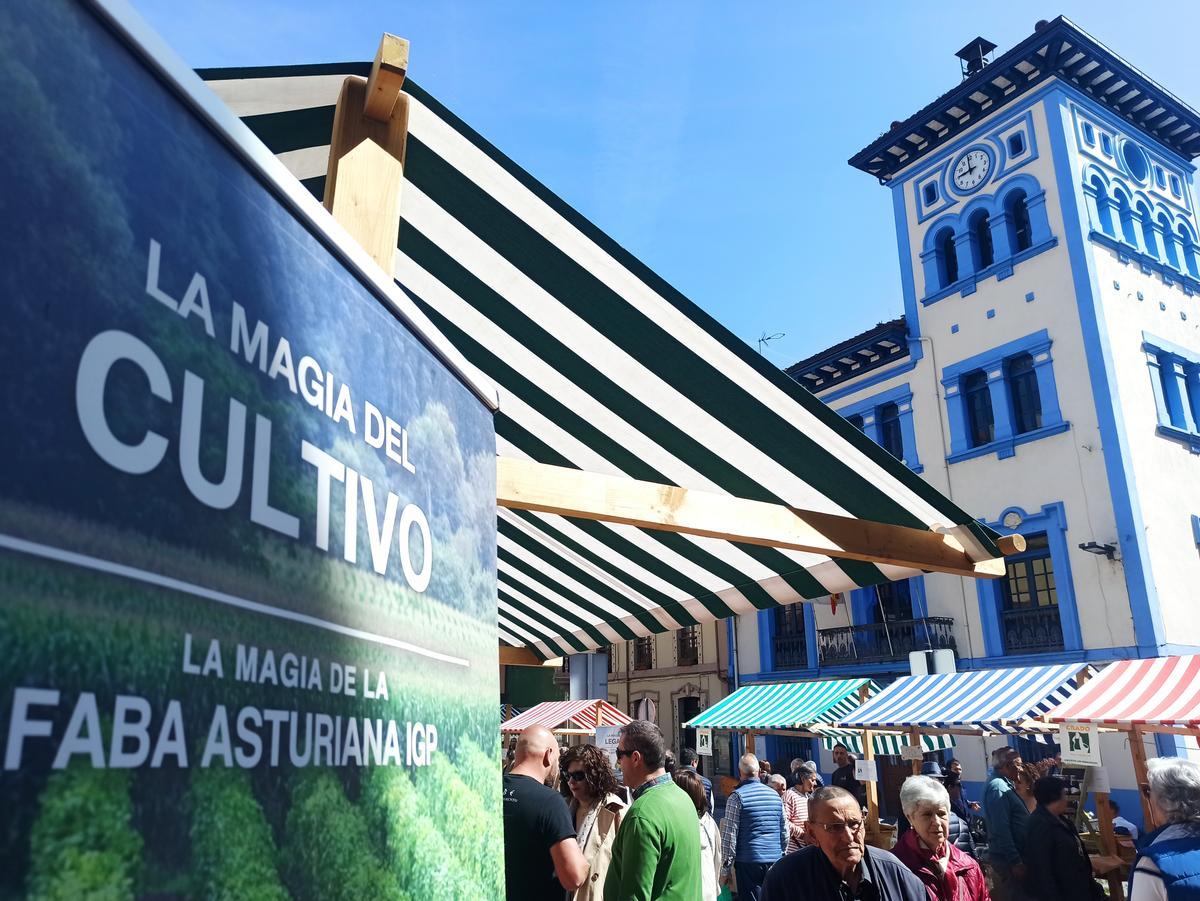 Ambiente en el mercado del certamen de la Faba Asturiana IGP.