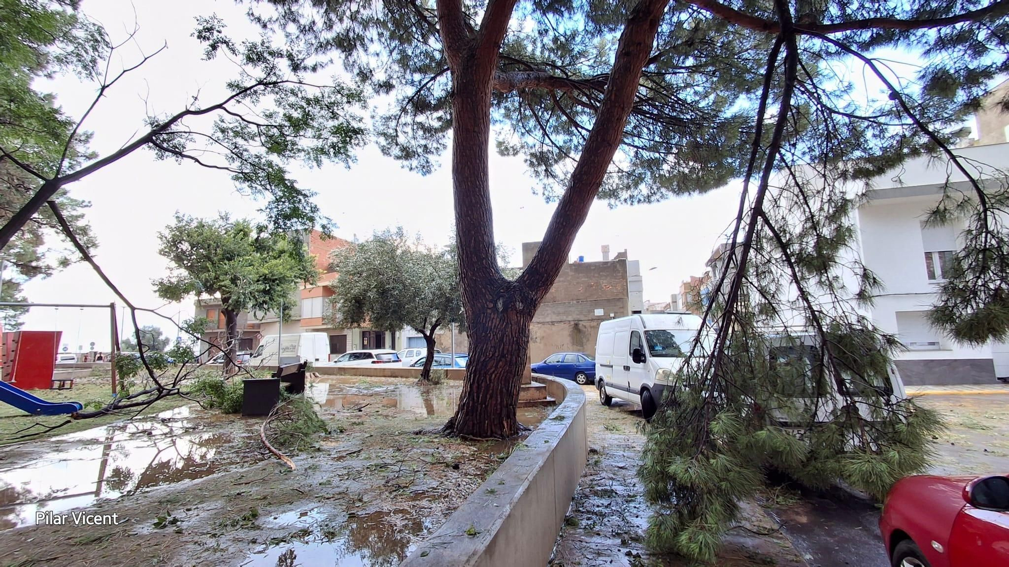 Estas son las consecuencias de la granizada en Vilavella