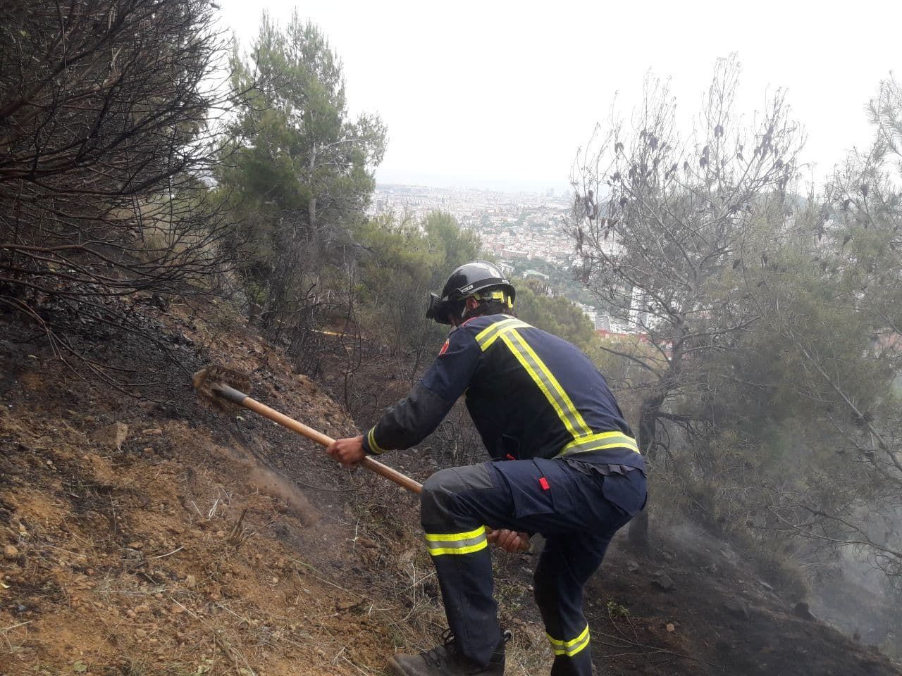 Incendio en el parque natural de Collserola.