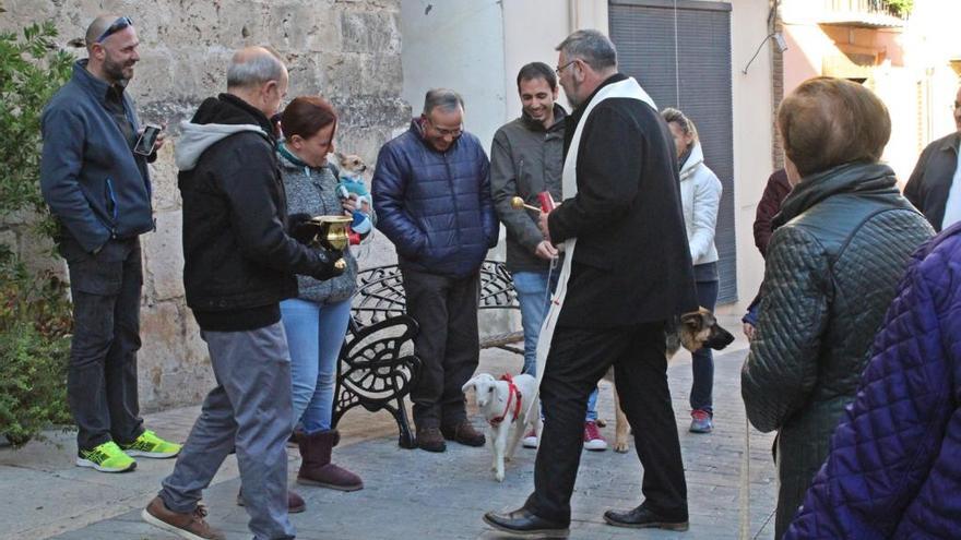 Participantes en la bendición de animales de Alfafara.