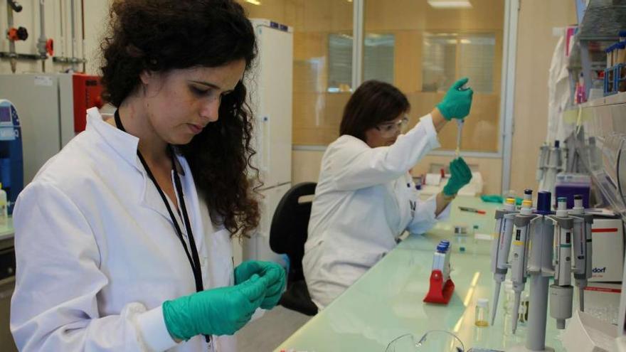Elisabete Fernandes y Ana Vila trabajan en el Laboratorio Ibérico de Nanotecnología (INL), en Braga. onl