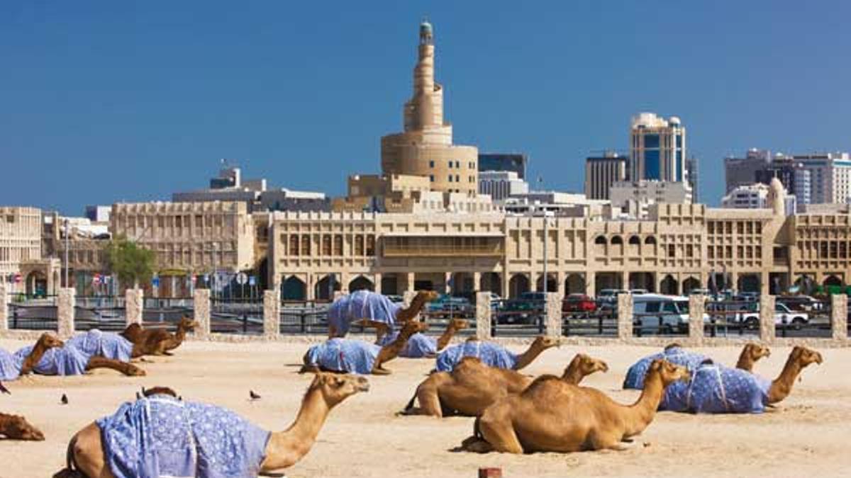 Camellos en el centro de Doha