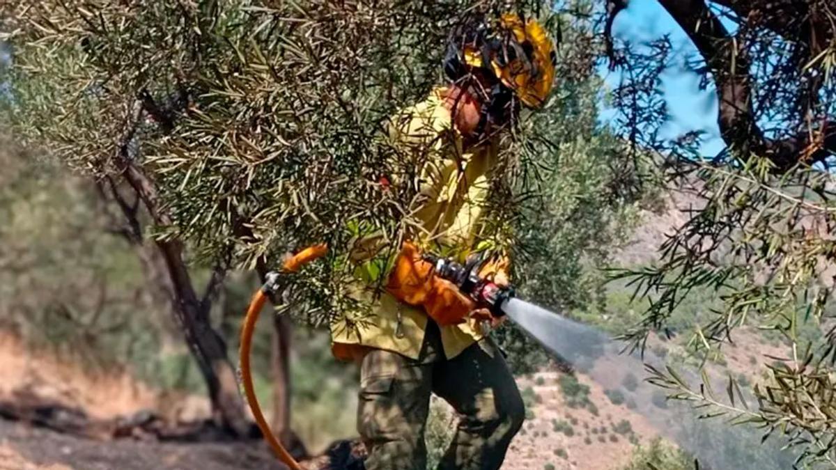 Efectivos del Infoca sofocando un incendio.