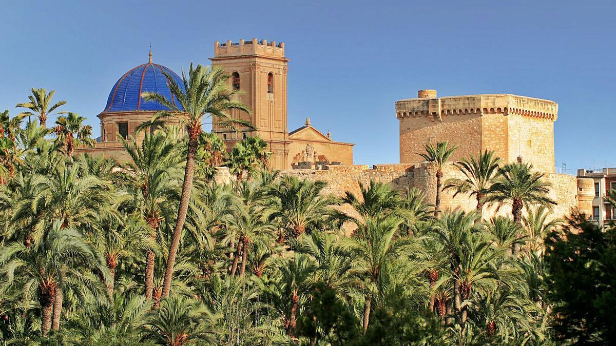 Una de las vistas icónicas de Elche como las que enamoraron al monarca en su visita de 1871. | INFORMACIÓN