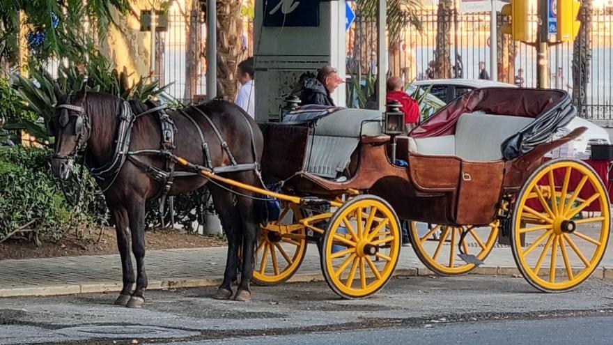 Coche de caballos