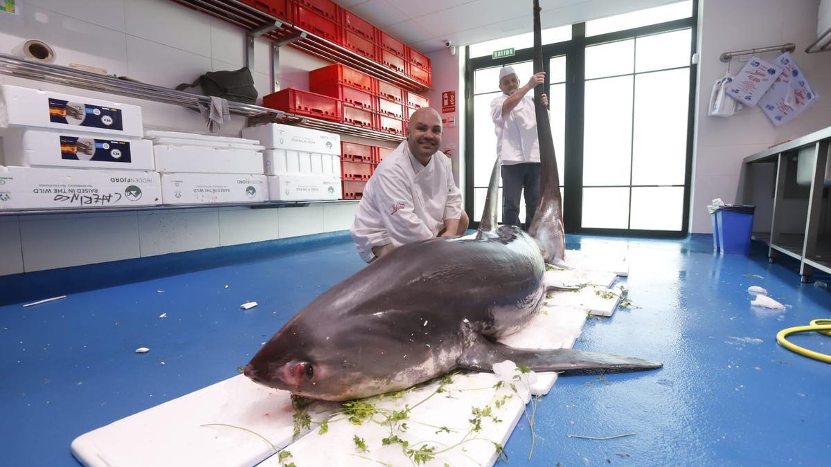 Eloy Iglesias, padre e hijo, sostienen el ejemplar de tiburón zorro.