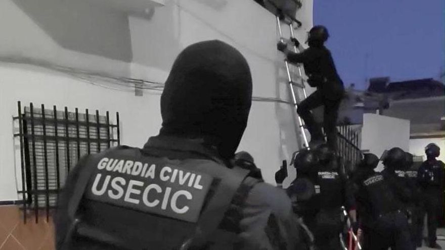 Cae una red criminal en Écija con 1,5 toneladas de tabaco ilegal y 220 plantas de marihuana