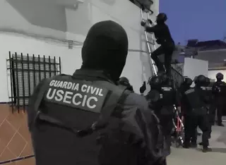 Cae una red criminal en Écija con 1,5 toneladas de tabaco ilegal y 220 plantas de marihuana