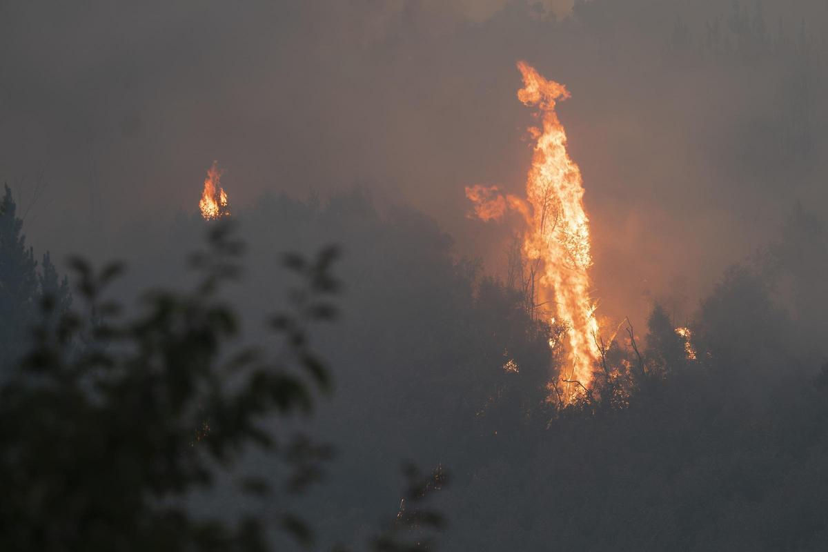 Elevan a 20 las víctimas de fuegos del sur de Chile y detienen a sospechoso de provocarlos