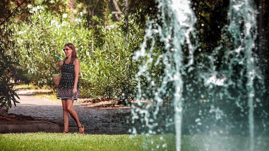 Estas son las temperaturas máximas que se registrarán durante la ola de calor en Tenerife