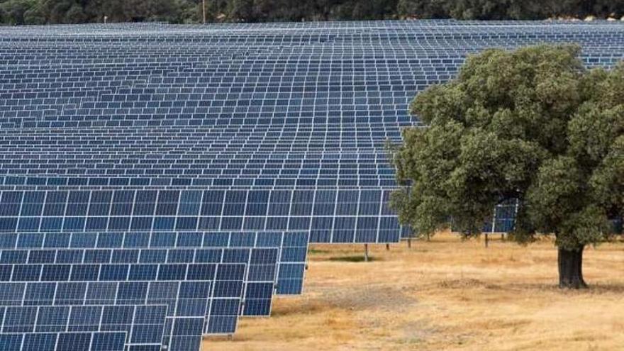El futuro de Extremadura se nutre de energía renovable