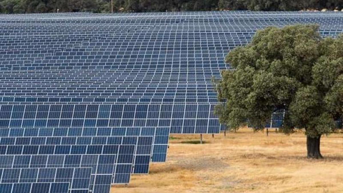 Parque  fotovoltaico en Talayuela.