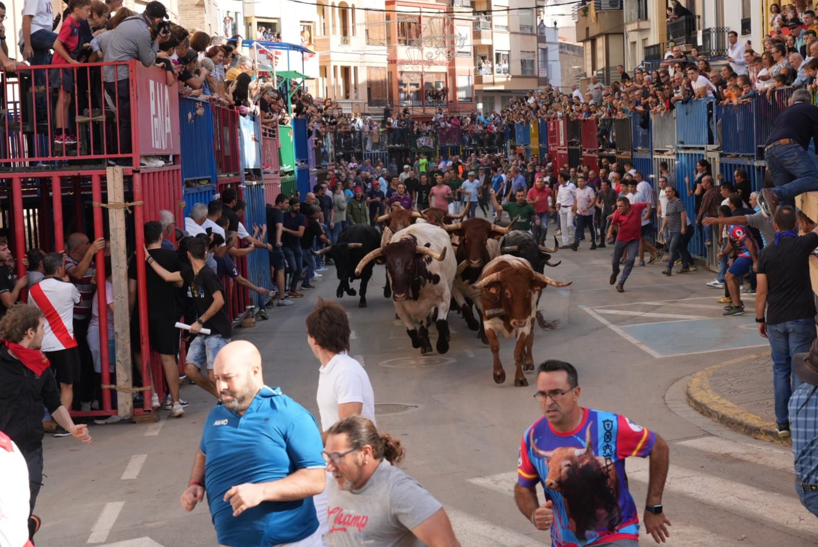 Las mejores imágenes del encierro de  Couto de Fornilhos y Santa Teresa en Onda