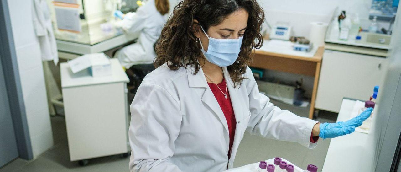 Investigadoras de la Universidad de La Laguna trabajando en uno de los laboratorios de la institución.