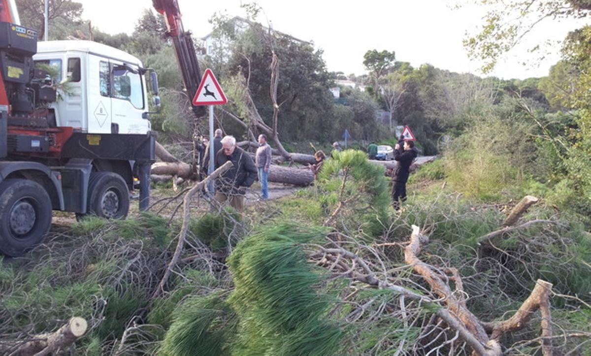 Carretera de Santa Eulàlia a Bigues i Riells.