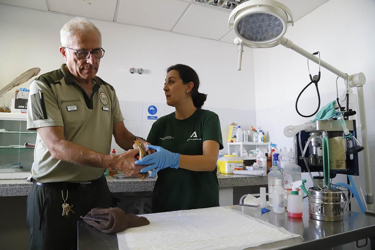 El Centro de recuperación de especies amenazadas de Córdoba, en imágenes