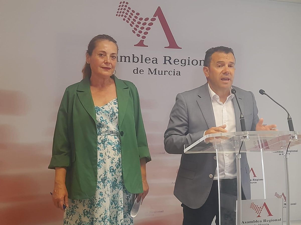 Los diputados socialistas Fernando Moreno y Virginia Lopo.