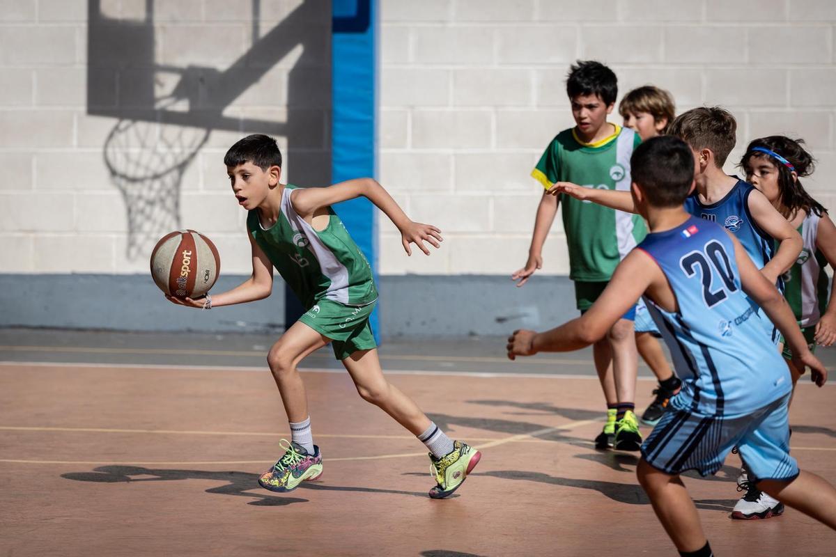 En imágenes | La emoción del baloncesto escolar se vive al máximo en el torneo del Colegio Doctor Azúa